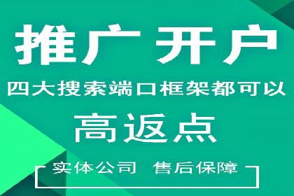 SEM竞价代运营公司成功案例分析